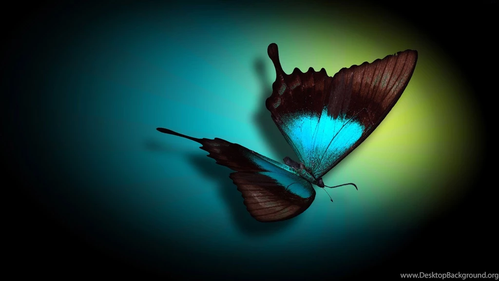Computer Desktop Wallpapers