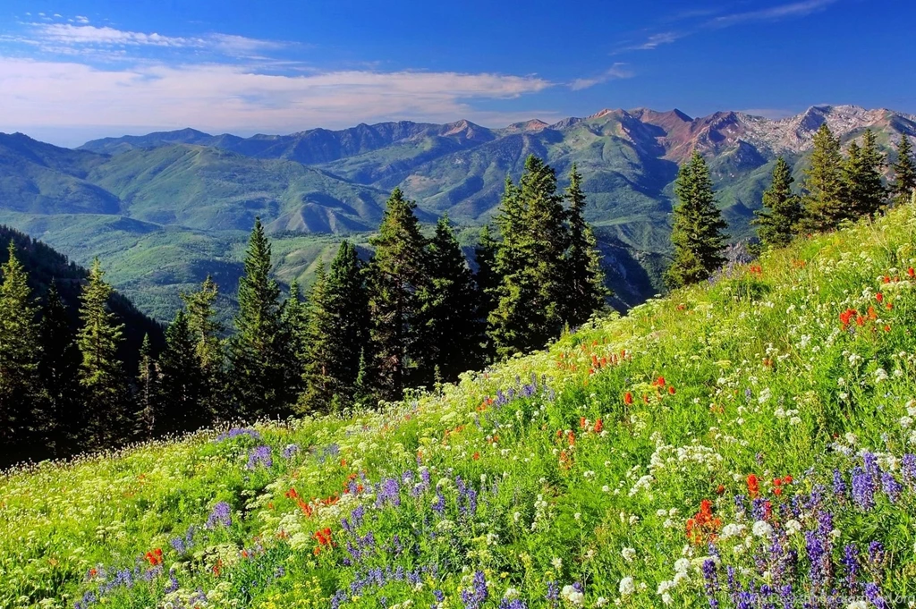 High Resolution Nature Wallpapers, Natural, Landscape, Amazing ...