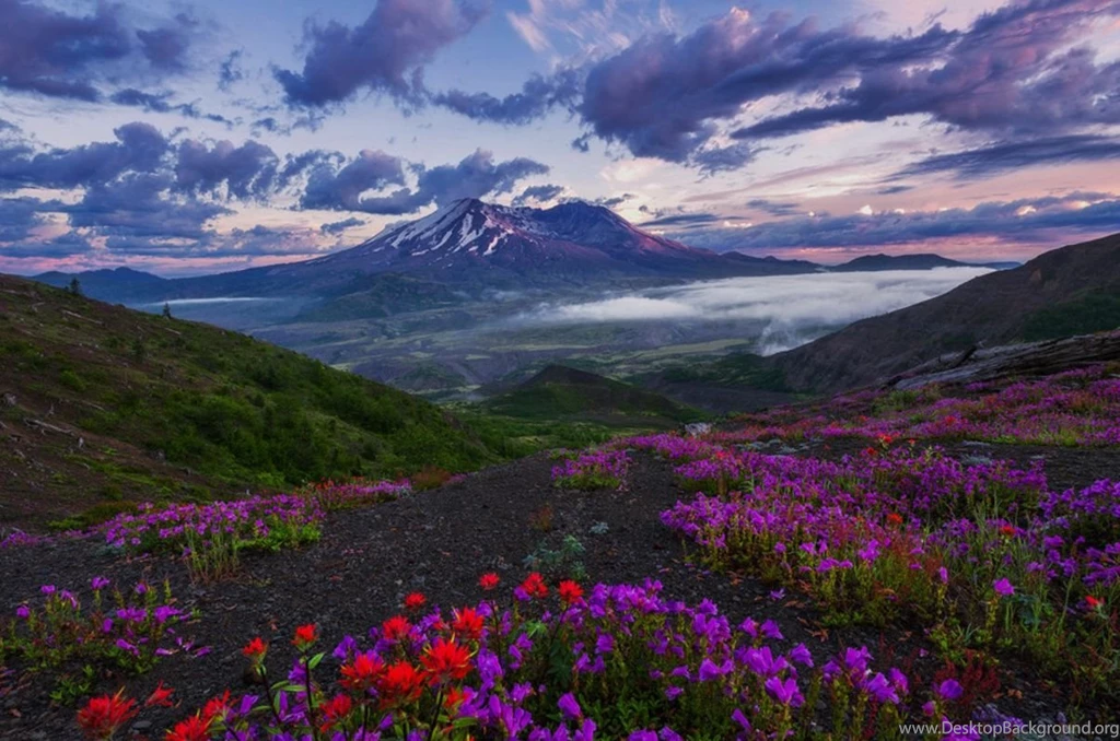 High Resolution Nature Wallpapers, Natural, Landscape, Cool Images ...