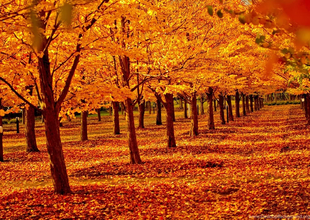 High Resolution Nature Wallpapers, Natural, Landscape, Sky ...