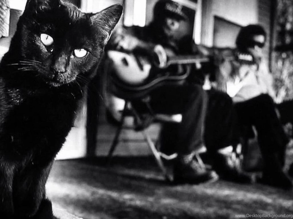 Blues Maker" Mississippi Fred McDowell, 1969 Documentary   Cigar ...