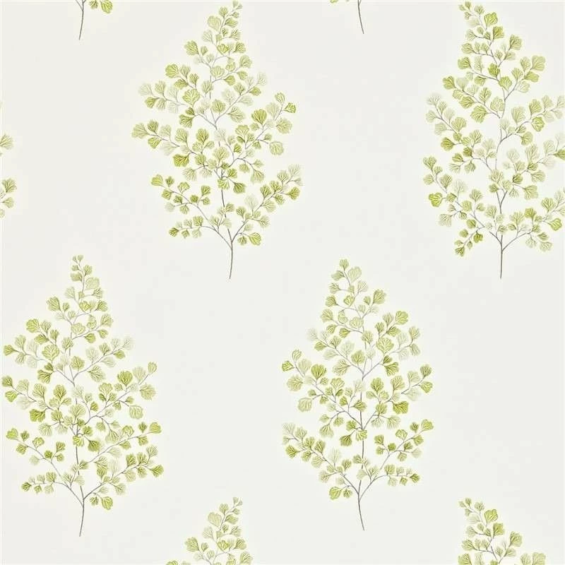 Decor Supplies