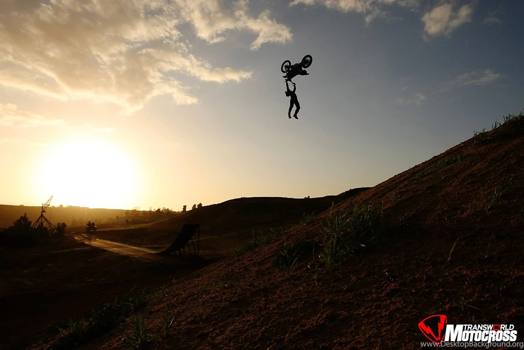 Bonus Wallpapers   FMX