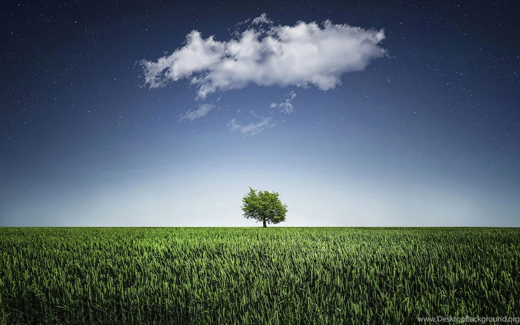 Green Tree Alone Wallpapers