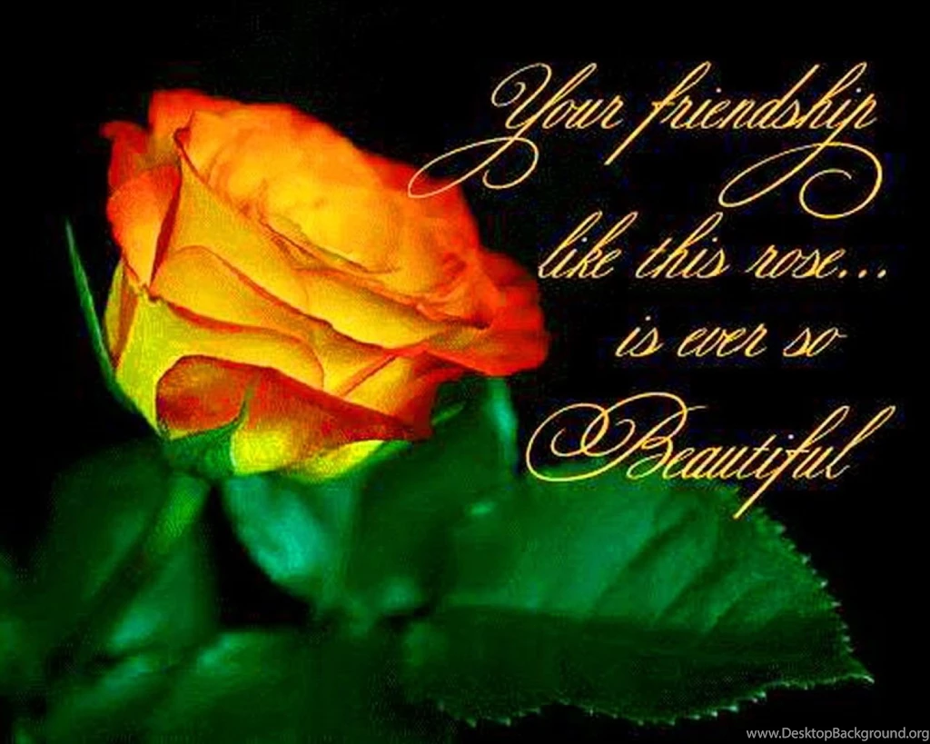 Thank You My Friend Laptop Hd Wallpapers