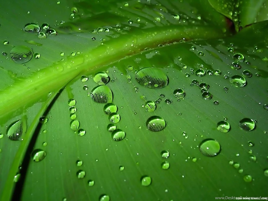 Yüksek çözünürlüklü Duvar Kağıtları [Vista] — Egonomik