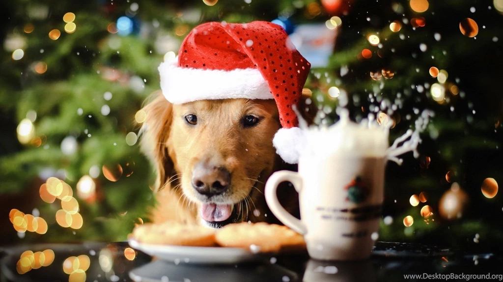 Cute Puppy Spreading The Christmas Spirit, Dog, Holiday, Holidays ...