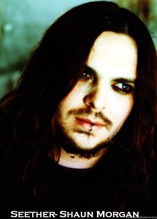 Do You Like Seether?