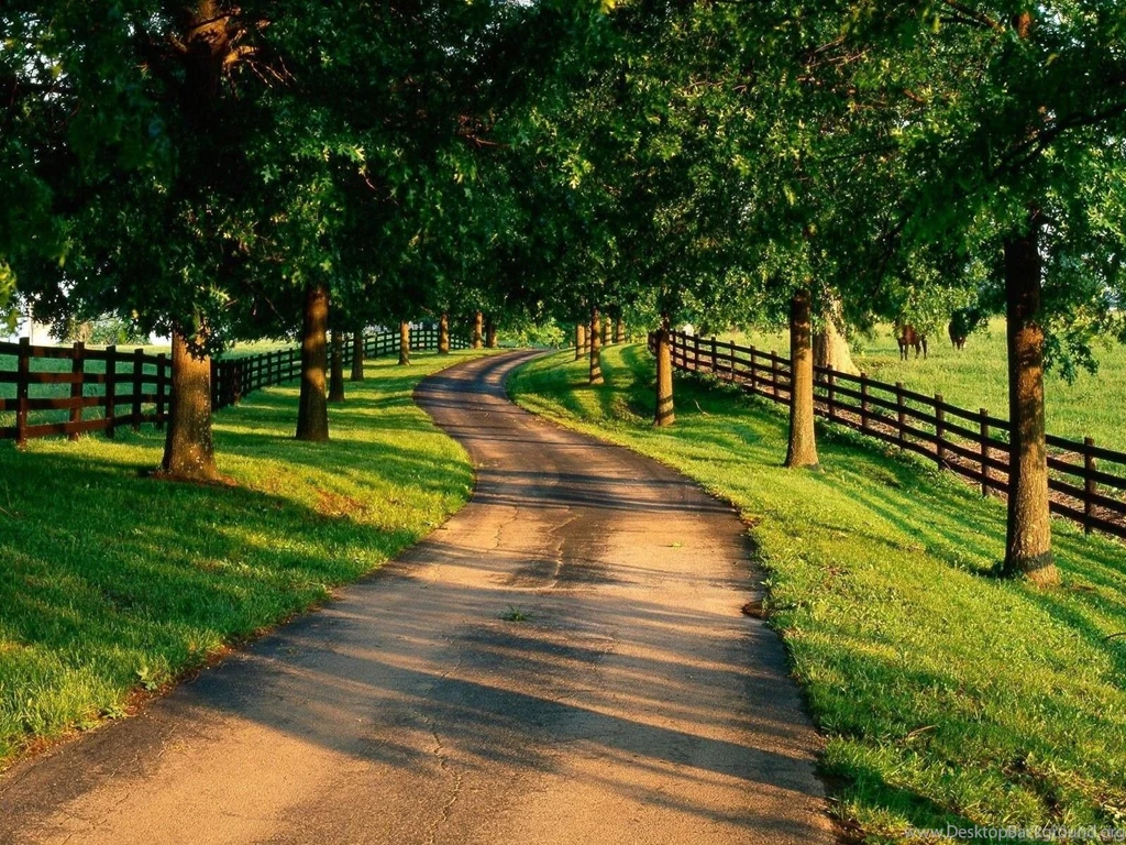 Best HD Wallpapers Download