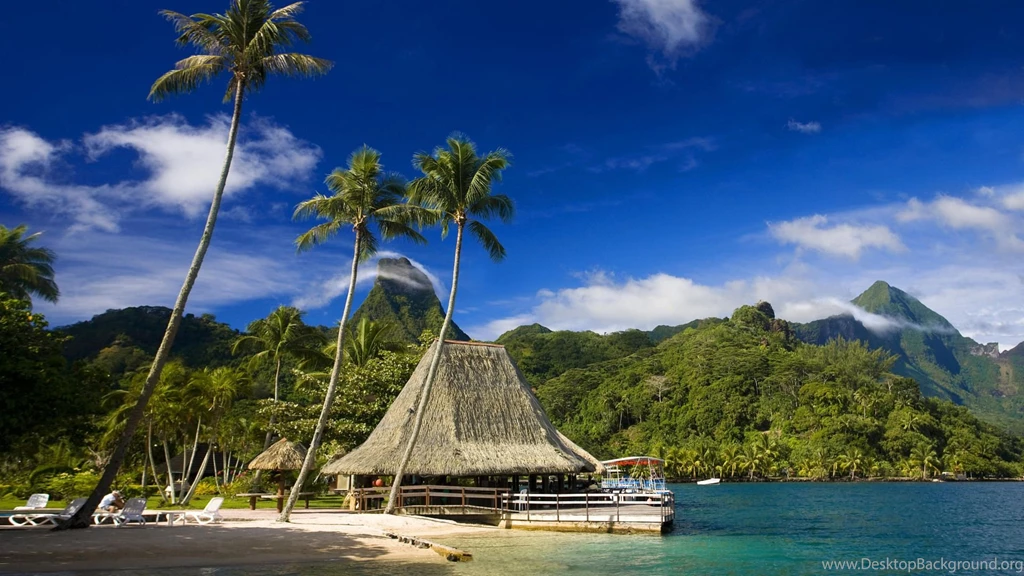 Nature Widescreen Wallpapers Wallpapers HD Wallpapers 86233
