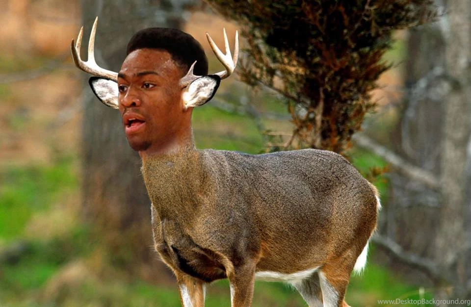 The Milwaukee Bucks Will Select Jabari Parker With The Number 2 ...