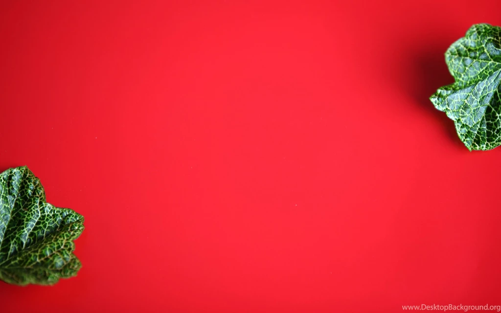 Green Leaves On Red Backgrounds Widescreen Wallpapers