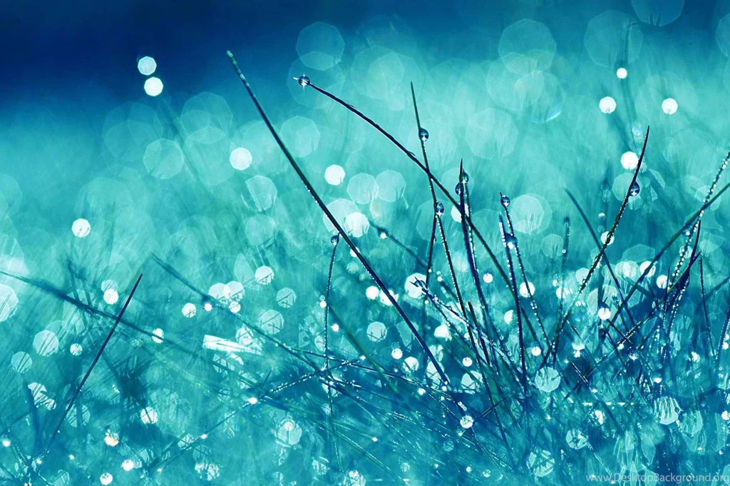 Desktop Images, Art, Colors, Amazing Pictures, Lovely Wallpapers ...