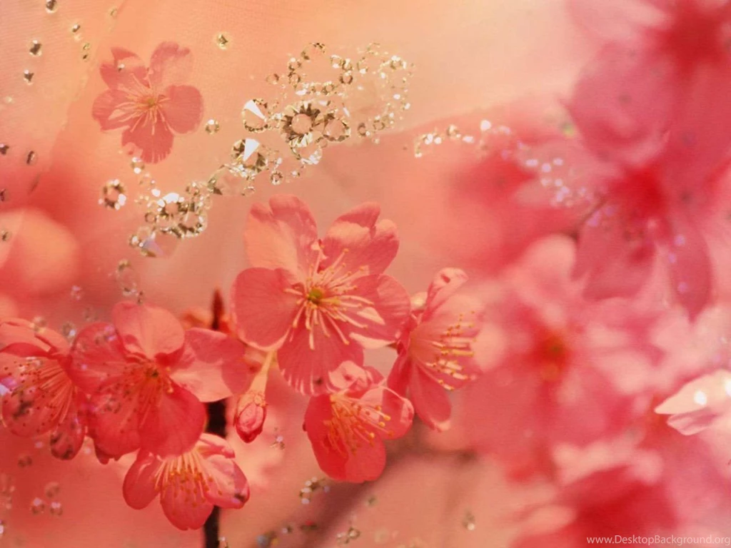 Beautiful Flowers Backgrounds 1152x864 Wallpapers, 1152x864 ...