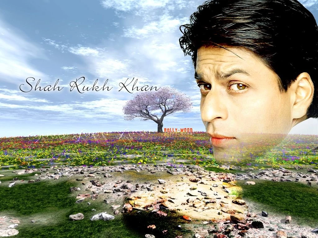 Desktop Wallpaper, Bollywood Wallpaper, Shah Rukh Khan