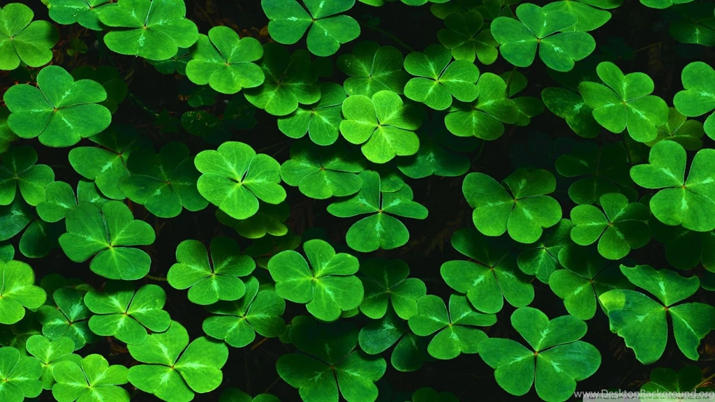Download Clover 4 Wallpapers 1920x1080