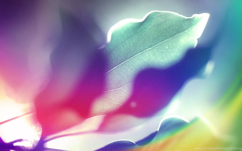 Abstract Multicolor Leaves Design Backgrounds Wallpapers ...