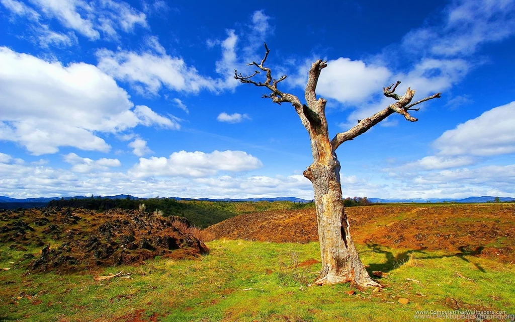 Wallpapers Nature Free Photos: Free Wallpapers Nature Scenes