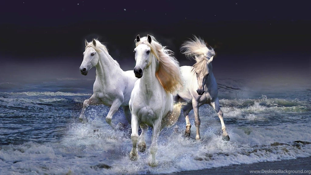 Pictures Of White Horses Running (4) Pleasantwalls.com