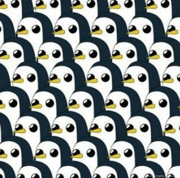 Adventure, Adventuretime, Background, Cute, Cuye, Funny, Penguin ...