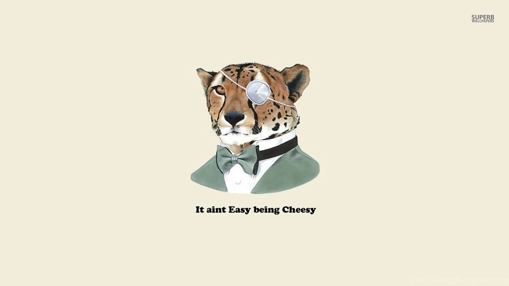 It Ain't Easy Being Cheesy Wallpapers Funny Wallpapers