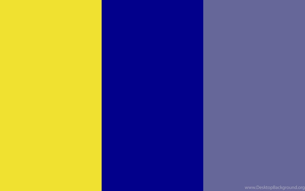 2560x1600 dandelion dark blue dark blue gray three color background.jpg