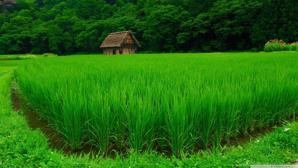 Shirakawa go HD Desktop Wallpapers : Widescreen : High Definition ...