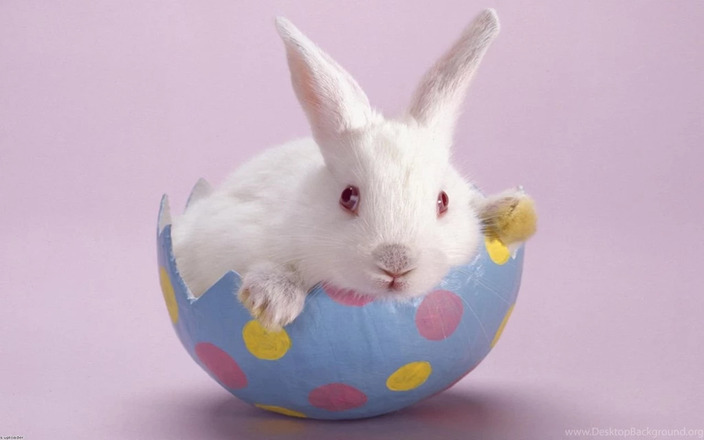 Cute Wallpapers Cqw068 – Wallpaperjosh