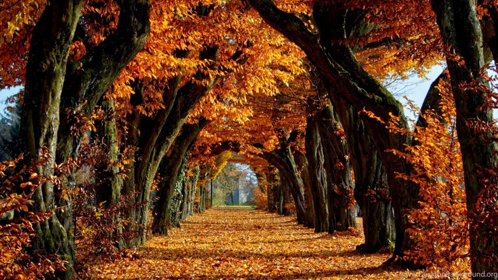 Hd Autumn Wallpapers 3 – HdCoolWallpapers.Com