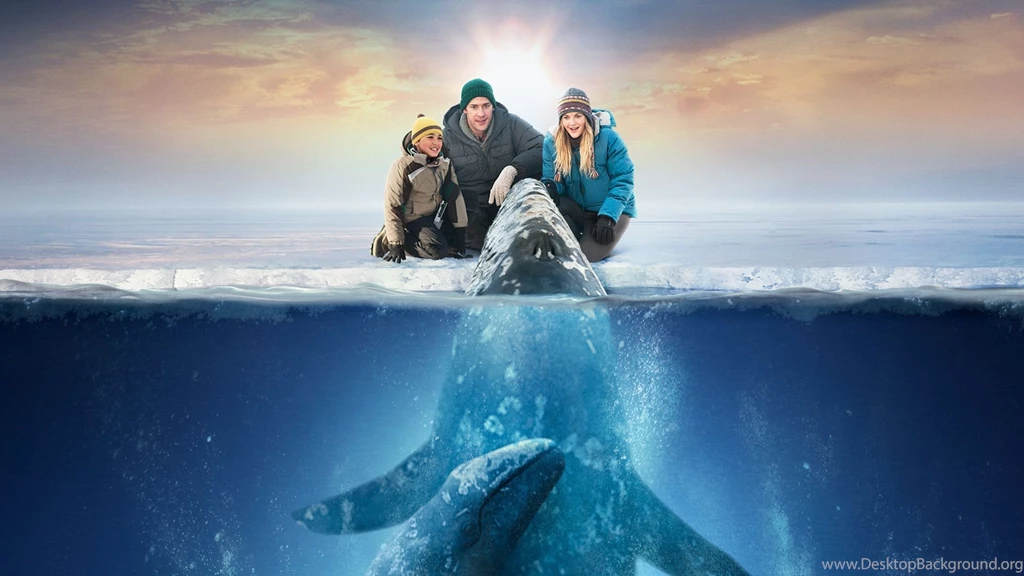 Big Miracle Wallpapers