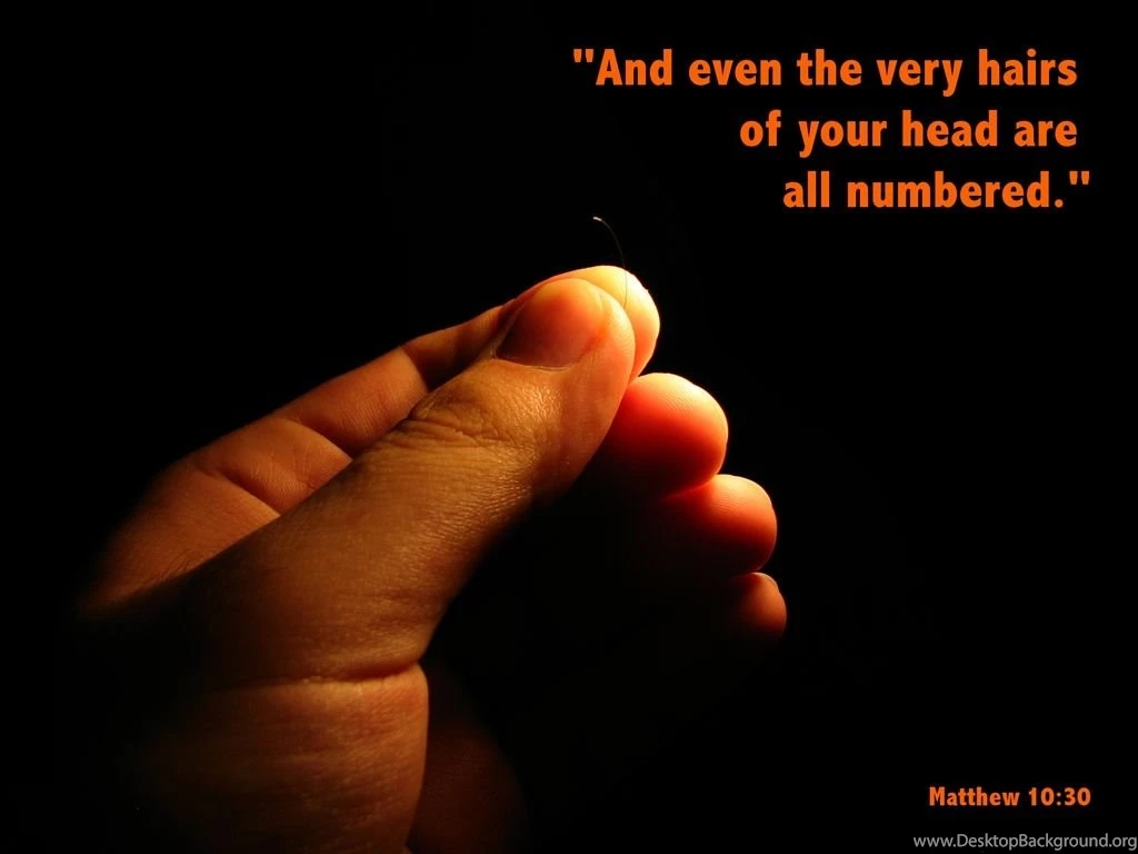 Free Halloween Wallpapers Mmw Blog: Wisdom Quotes Wallpapers ...