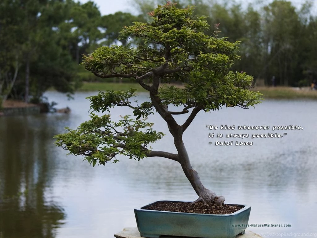 Religious Quotes Wallpaper. QuotesGram