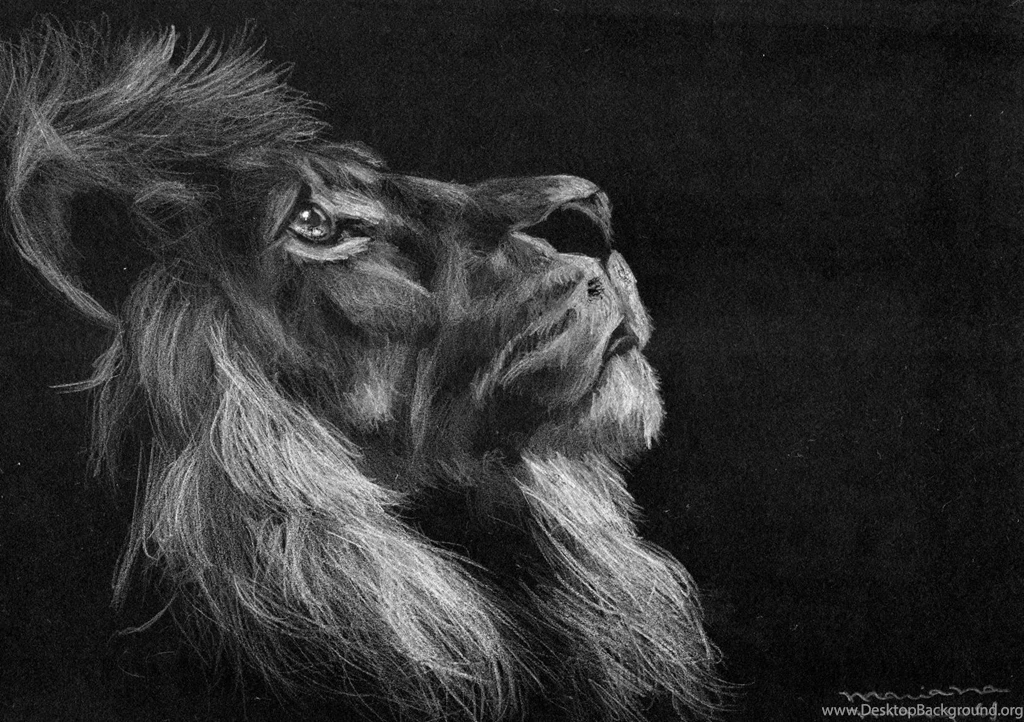 AN ANIMAL SOUL WALLPAPER (