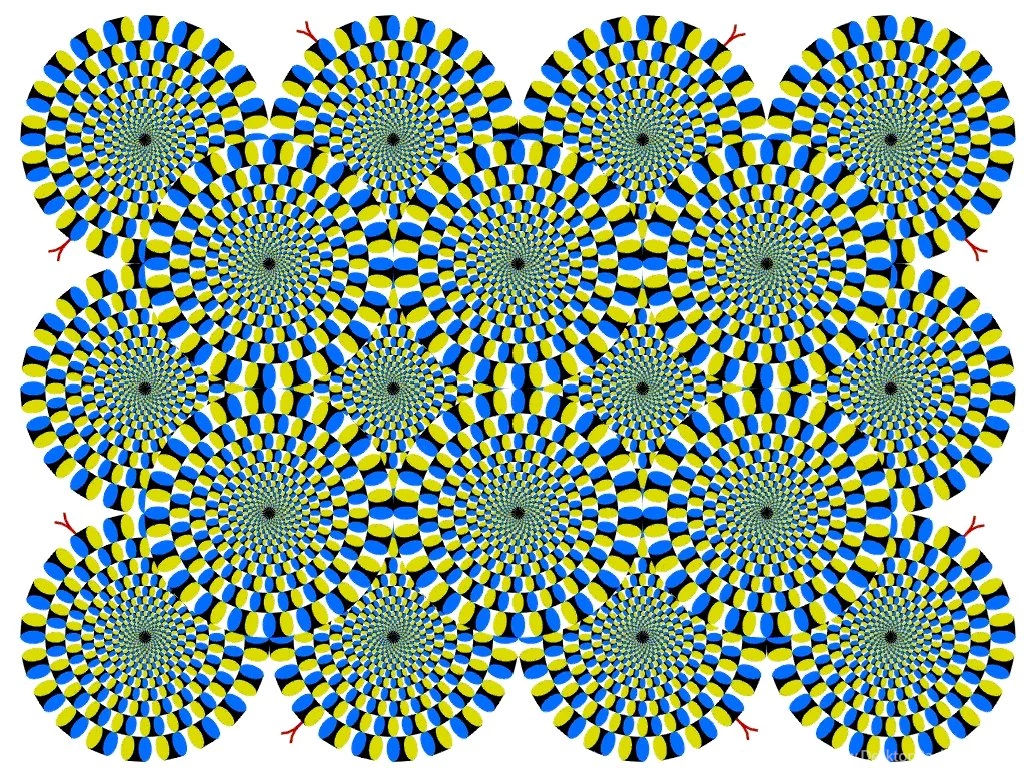 Optical Illusions... Challenge For You All My Free Wallpapers Hub