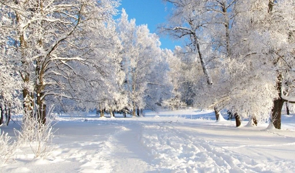 Download Free High Definition Winter Wallpapers