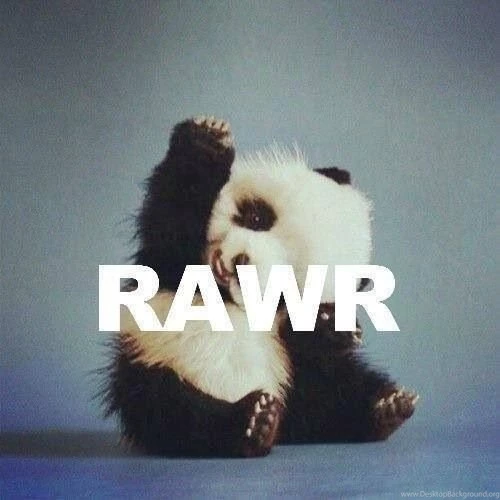Rawr ♥ Image