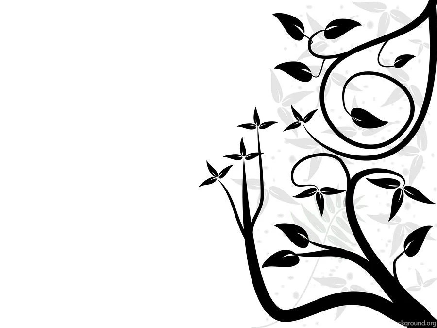 Black And White Background Images Wallpapers HD Base