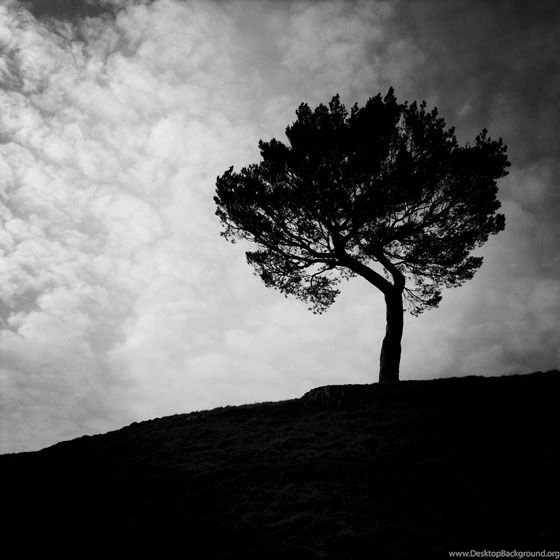 10 Tips For Creating Powerful Black & White iPhone Photos