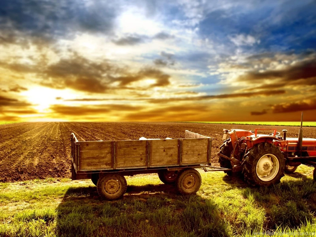 FARM WALLPAPER (