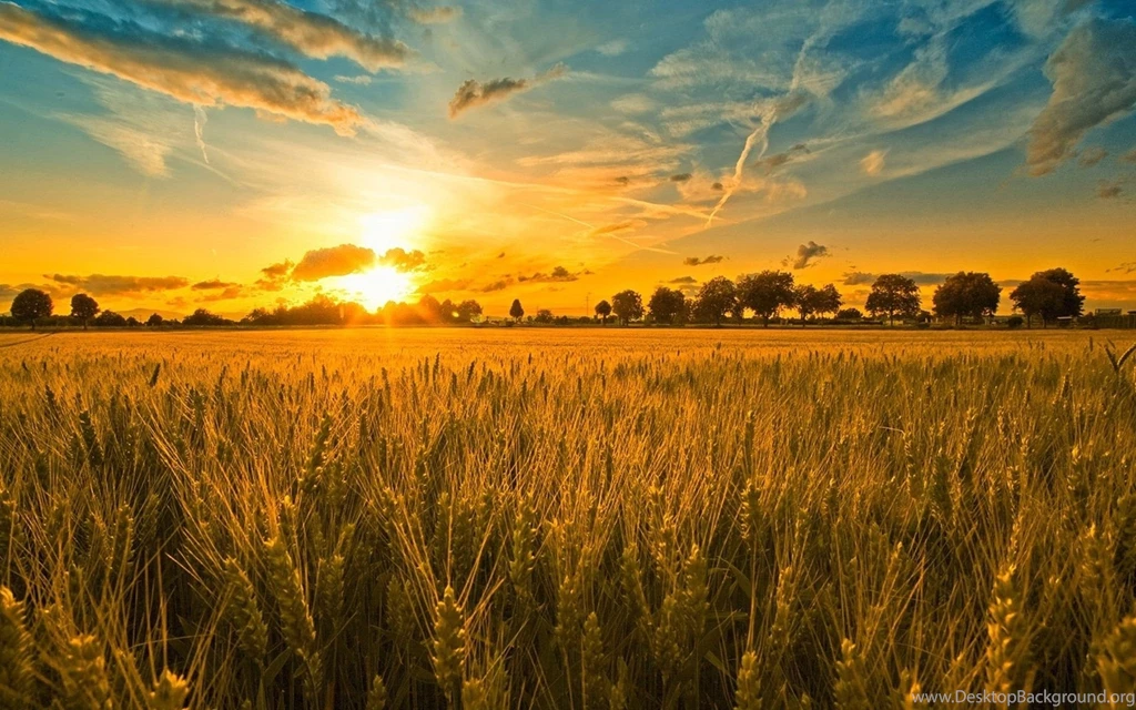 Farm Cliparts.co