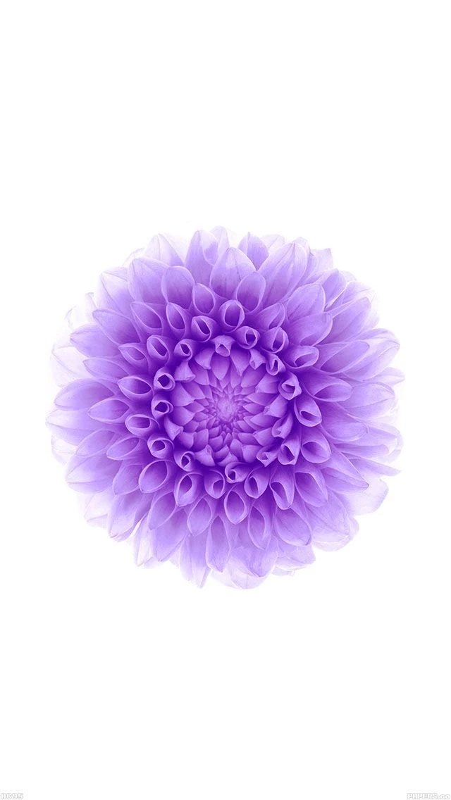 Download Wallpaper: Http://goo.gl/hCh3ce Ac95 wallpaper apple ...