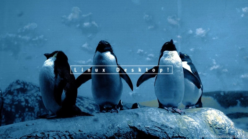 Download 1600x900 Linux Penguin Wallpapers