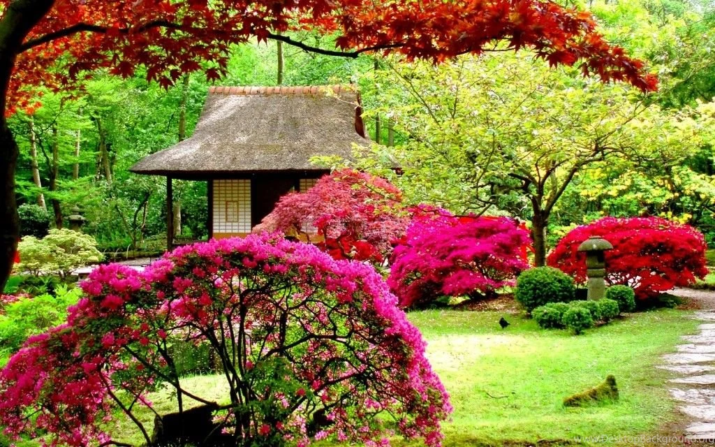 Nature Full Hd Wallpapers Free Download_nature Wallpaper_Hd ...