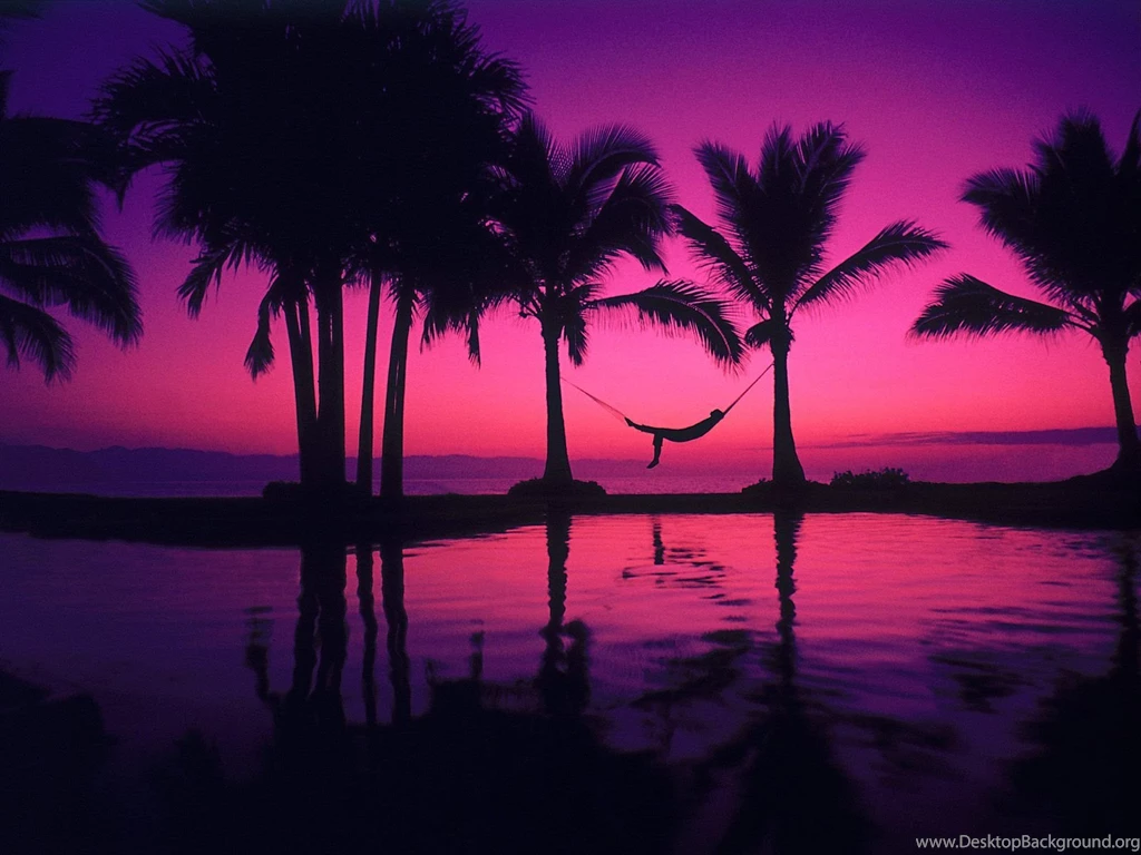 43 HD Purple Wallpaper/Background Images To Download For Free