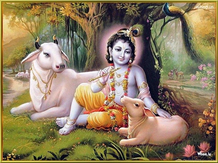 Lord Krishna In a Forest With Cow Natural Image.jpg