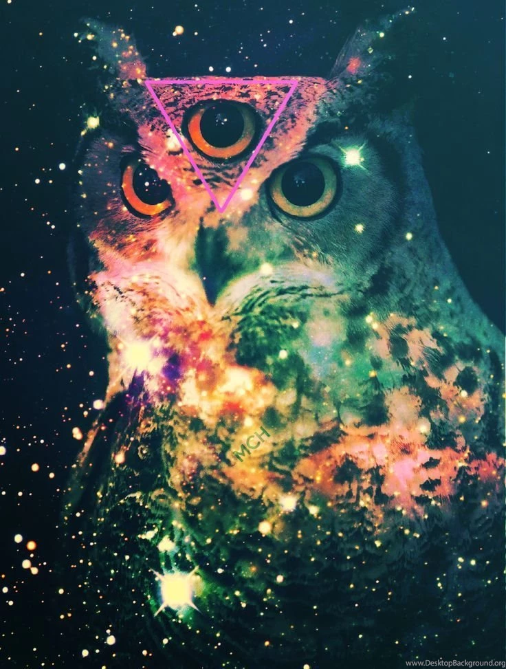 Psychedelic Wallpapers On Pinterest