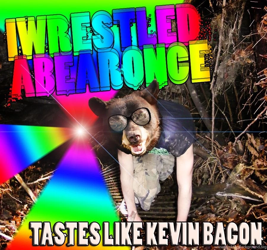 IWRESTLEDABEARONCE Cd By Enithmoomoo On DeviantArt