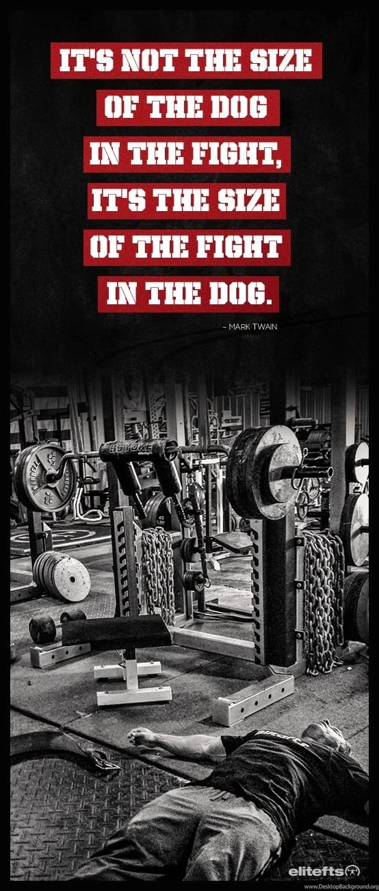 Elitefts Dave Tate Quotes. QuotesGram
