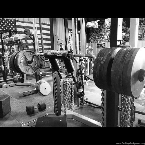 EliteFTS Superior Products And Knowledge For Lifters, Athletes ...
