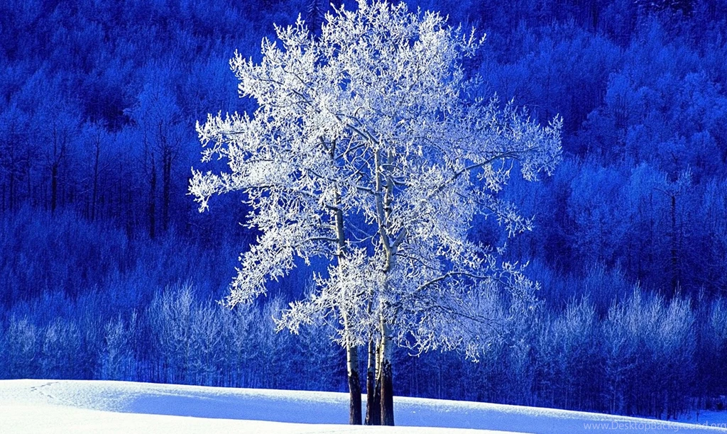 Nature Wallpapers, Hd Landscape Images, Nature Backgrounds ...